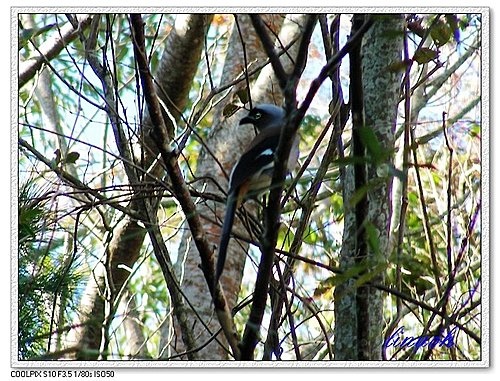 547882622_m.jpg 547882622_m.jpg