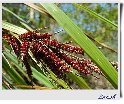 547821820_m.jpg 547821820_m.jpg