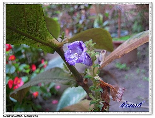 547718918_m.jpg 547718918_m.jpg