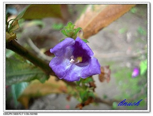 547805634_m.jpg 547805634_m.jpg