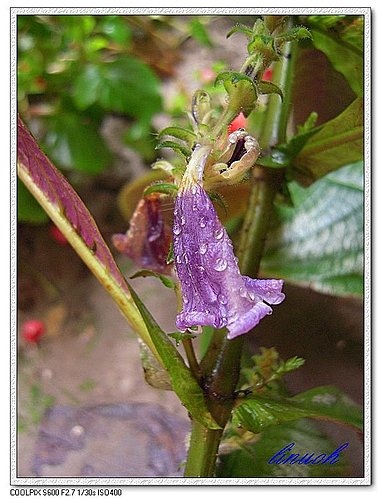 547735053_m.jpg 547735053_m.jpg