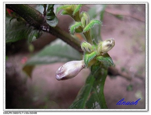 547727775_m.jpg 547727775_m.jpg