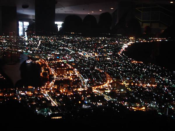 館裡往外看的夜景.JPG