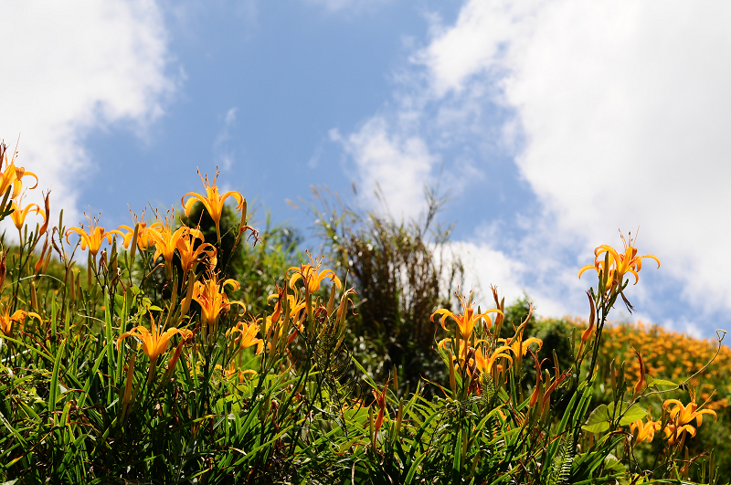 20110820六十石山_06.jpg