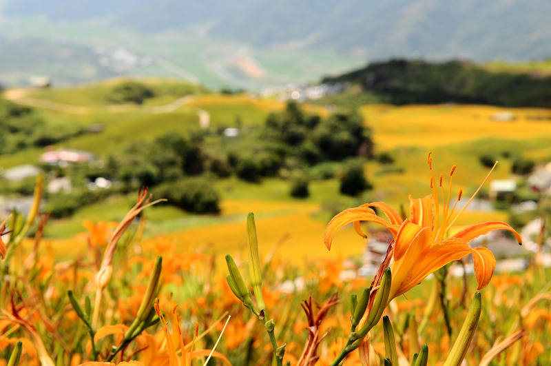 20110820六十石山_10.jpg