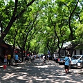 DSC_2915.jpg