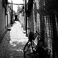 DSC_2927.jpg