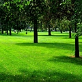 DSC_3167.jpg