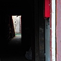 DSC_3507.jpg