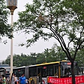 DSC_3923.jpg