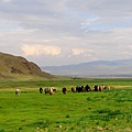 蒙古 (164)