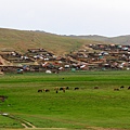 蒙古 (315)