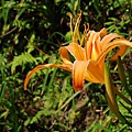 DSC_3467.jpg