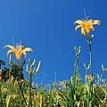 DSC_3475.jpg