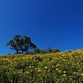 DSC_3482.jpg