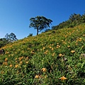 DSC_3497.jpg