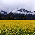 林芝_013.jpg
