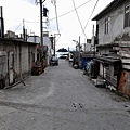 DSC_2004.jpg