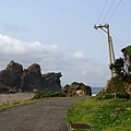P1000931.jpg