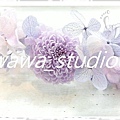 wawa_studio