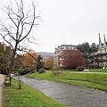 Alice步道4