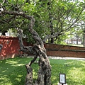 孔廟