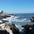 20161216_113119.jpg