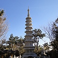 DSC04026.JPG