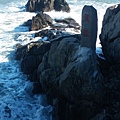 20161216_121022.jpg