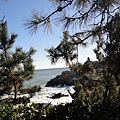 DSC04032.JPG