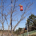 DSC04050.JPG