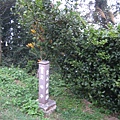 IMG_8048.jpg
