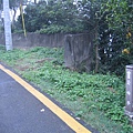 IMG_8049.jpg