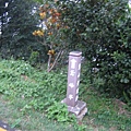 IMG_8050.jpg