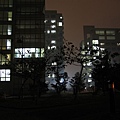 IMG_8069.jpg