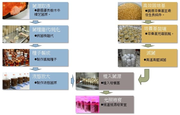 皮膚癌前兆症狀1