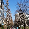 20130309_151137.jpg