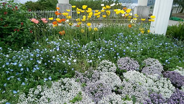 IMAG1987.jpg IMAG1987.jpg