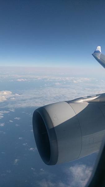 IMAG1008.jpg IMAG1008.jpg