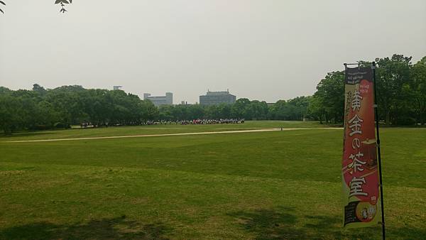 IMAG2674.jpg IMAG2674.jpg