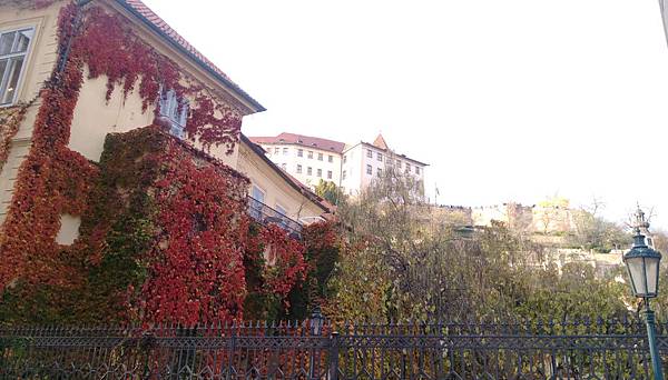 IMAG0517.jpg IMAG0517.jpg