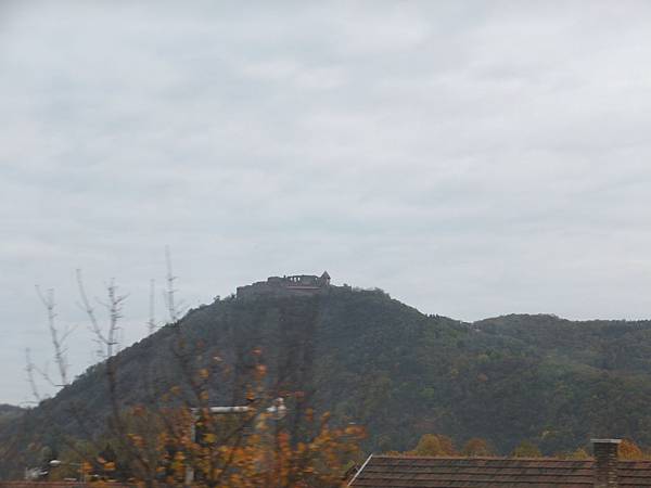 DSCF4308.JPG DSCF4308.JPG