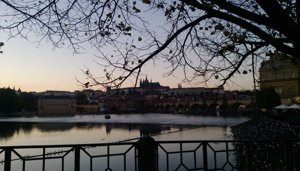 IMAG0532.jpg IMAG0532.jpg