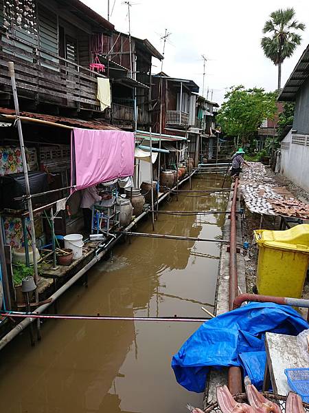 DSC_0475.JPG DSC_0475.JPG