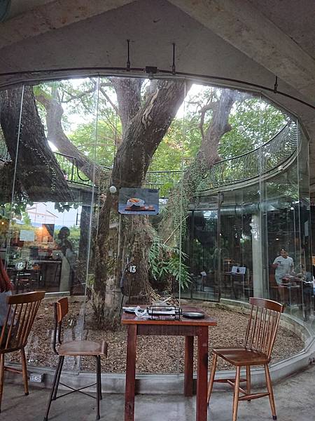 DSC_0502.JPG DSC_0502.JPG