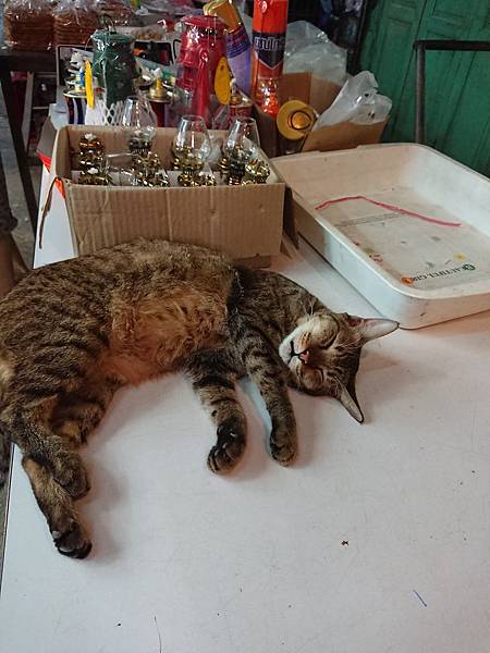 DSC_0486.JPG DSC_0486.JPG