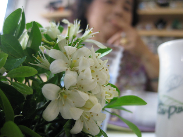 花和外婆