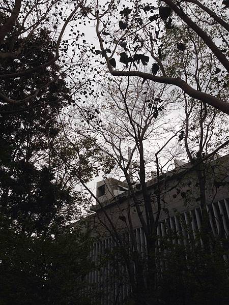 IMG_9621.JPG IMG_9621.JPG