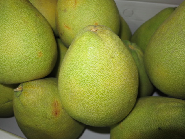 麻豆文旦PK鶴岡文旦