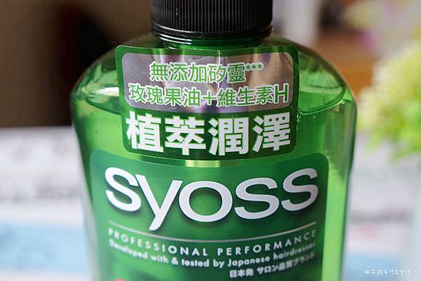 SYOSS02.jpg